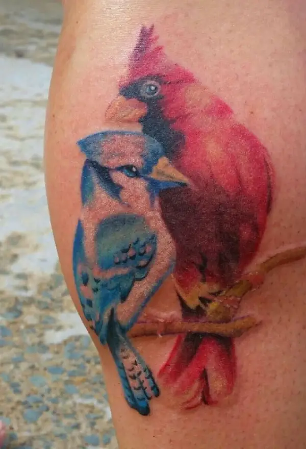 Blue Jay Tattoo Beautiful And Meaningful Art Design